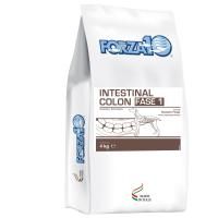 Корм Forza10 Intestinal Colon для собак, при хронических колитах и проблемах ЖКТ (Рыба) - 10 кг в Алматы и в Казахстане за 48 800 ₸