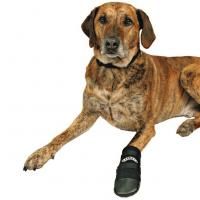 Защитные ботинки Walker Care XL для собак в Алматы и в Казахстане