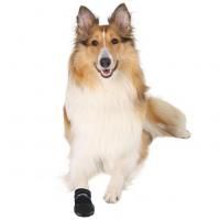 Защитные ботинки Walker Care L для собак в Алматы и в Казахстане