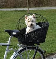 Устройства Велосипедная корзина Trixie для транспортировки собак, плетеная - 35х49х55см. собак в Алматы и в Казахстане