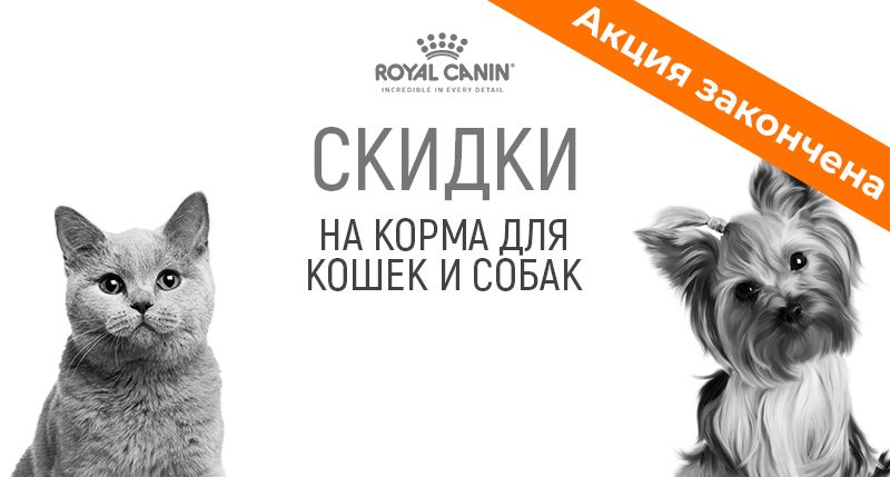 Акция на корма Royal Canin для собак и кошек
