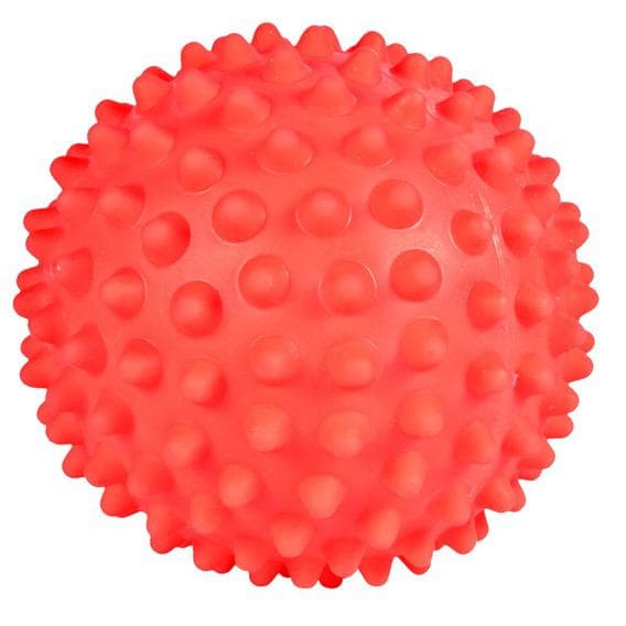 Игрушка "Мяч игольчатый" для собак (Большой), Trixie - 16 см в Алматы и в Казахстане за 3 820 ₸