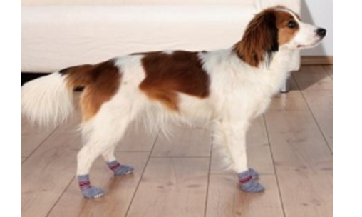 Носочки Trixie для собак (Хлопок) - 2 шт - M для собак в Алматы и в Казахстане