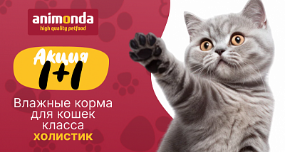 Акция 1+1 на влажные корма Animonda для кошек