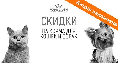 Акция на корма Royal Canin для собак и кошек