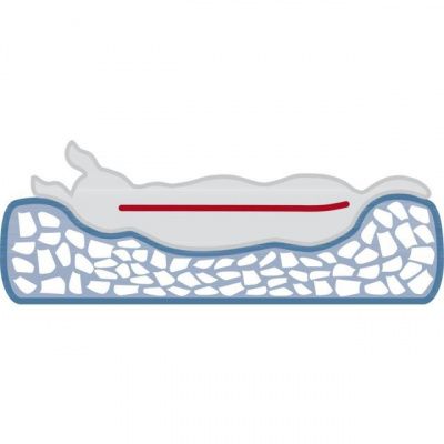Лежак матрас Vital Bed Loki - 65 × 50 см для собак в Алматы и в Казахстане