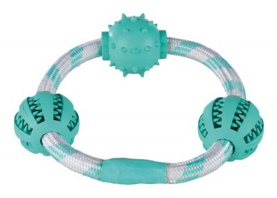 Игрушка кольцо Denta Fun для массажа десен собак - 20 см в Алматы и в Казахстане за 6 210 ₸